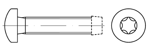 DIN 7500 - C Torx